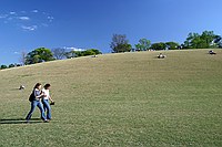 hill at Piedmont Park (looking roughly SE; 10th street is over the top of the hill.)