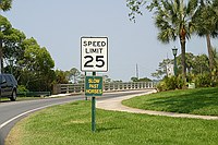 slow past horses