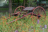 lawn ornament