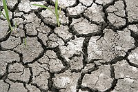need some rain