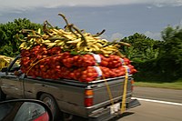 load of fruit