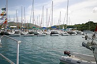 dinghy-ducklings