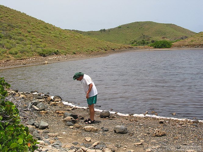 salt island salt pond