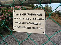 Please Keep Driveway Gate Shut At All Times: The Goats Can Do A Lot Of Damage To Our Plants In A Very Short Time