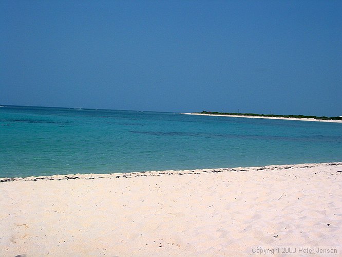 this is a typical beach at Anegada (Loblolly Bay, IIRC)