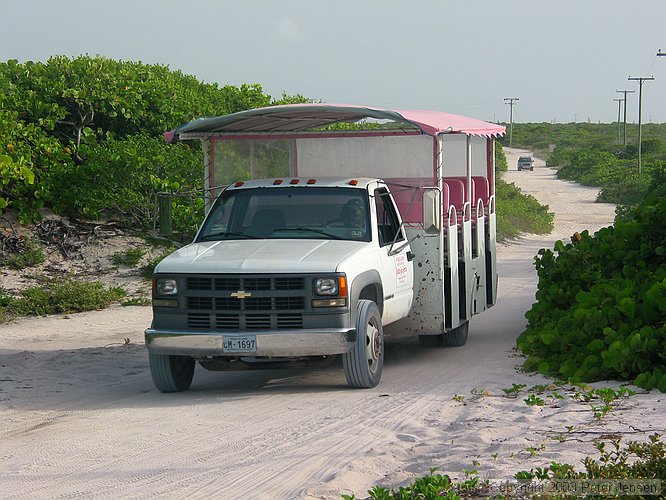 our Taxi and some of the general vegitation found on Anegada
