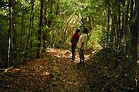 Bobby and Paul admiring the almost rain forest on Sage Mountain