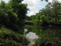 onion creek near the old washed out bridge