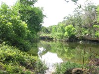 onion creek near the old washed-out bridge