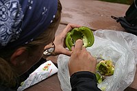 Laura cutting up a green bell pepper for dinner