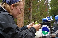 Laura cutting up a green bell pepper for dinner