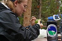 Laura cutting up a green bell pepper for dinner