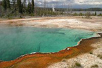 nice emerald pool