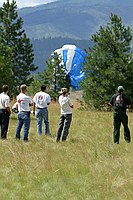 observers first laugh then run to assist this guy who missed and landed in the tree