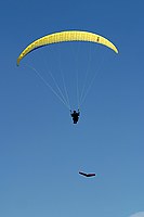 looks close, but I was a bit higher than the pilot and am using a telephoto lens; he maintained visual separation the whole time and the lateral separation is pretty large