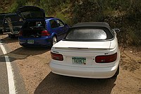 THERMLS license plate
