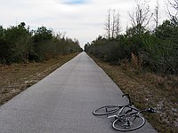 looking south