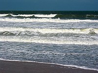 windy day at the beach