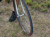 not the typical ride for 30 miles of dirt roads - 42x16 (~2.7:1) fixed with 700x25 tires