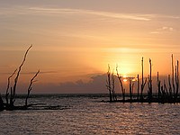 sunrise