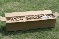 Raptr box