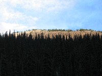 nice rocks from the E5 campsite in Banff