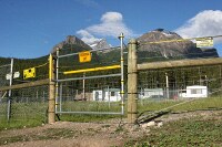 pedestrian gate for electric bear fence