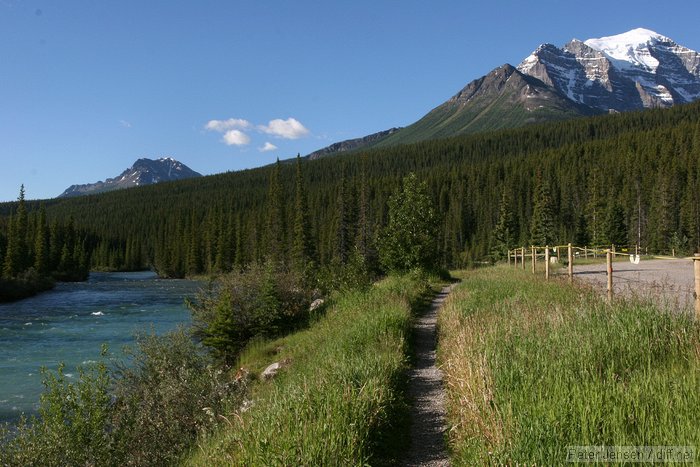 Bow River next to the Lake Louise tent site