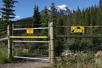gate for the electric fence to the Lake Louise campground