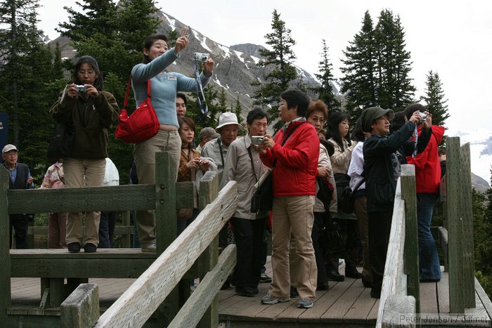 mob of tourists