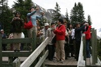 mob of tourists