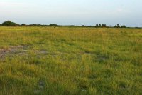 wide open nothingness