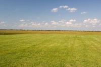 there's a nice grass lawn at the parking area