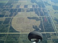 random shapes in these orchards