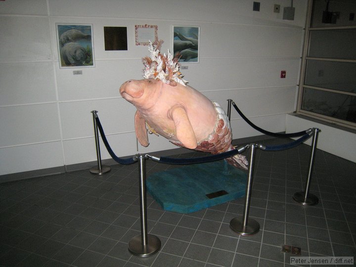 Fantasea the Manatee