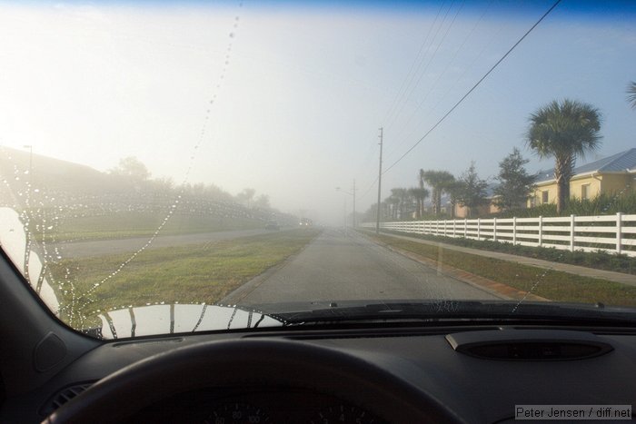 foggy morning