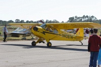 a nice cub going by