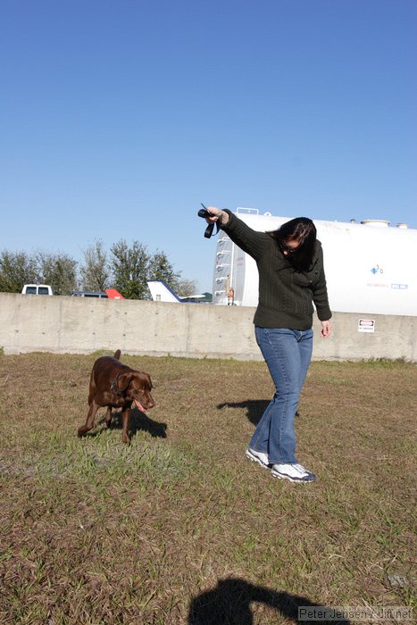 Clyde the amazing jumping dog