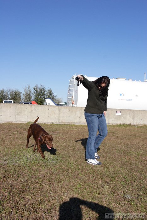 Clyde the amazing jumping dog