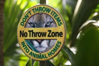 no throw zone
