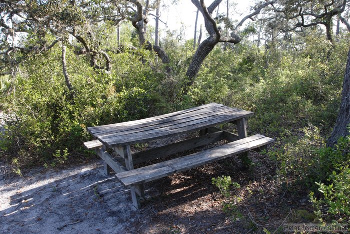 nice picnic table at the canoe pullout