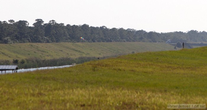 kite in the distance
