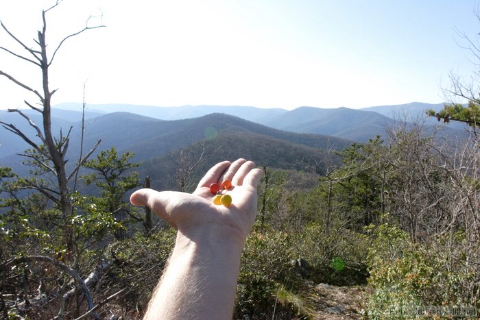 offering up some ancient M&Ms Charles bought