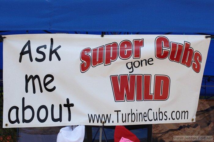 Super Cubs Gone Wild