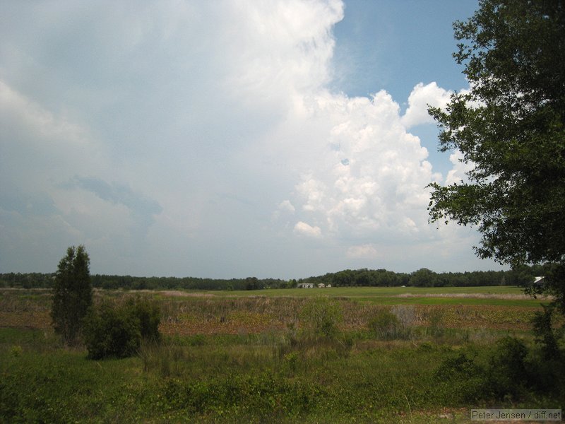 the trail is on a ridge of sorts; this is one of the pretty views along the way