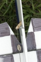 tail group