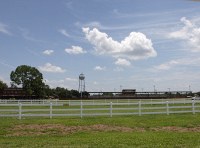 river ranch rodeo