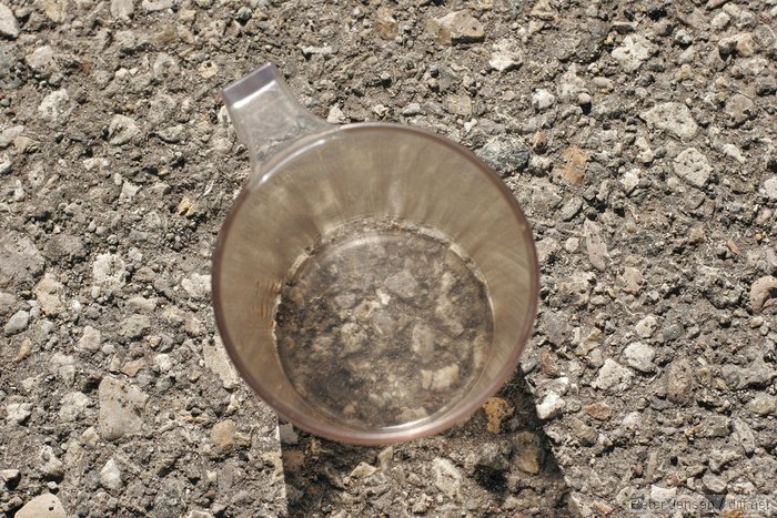 lexan cup