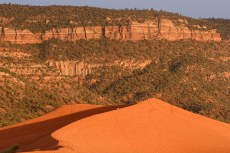 solitary dune-sitter