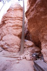 a shot of the trail closure and tools